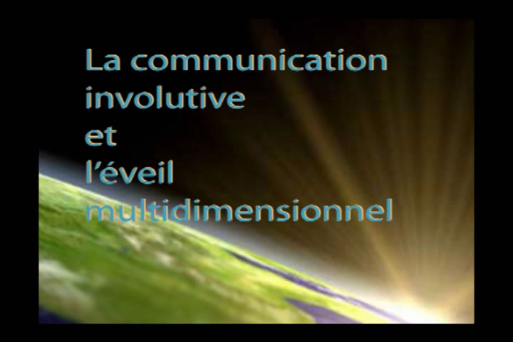 Webfonf&eacute;rence du 10 d&eacute;cembre 2010 deuxi�me partie 59min